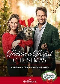 Образ идеального Рождества (2019)