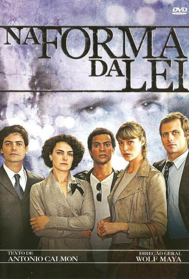 В форме закона (1 сезон)