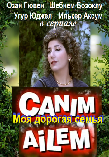 Дорогая моя семья (1 сезон)