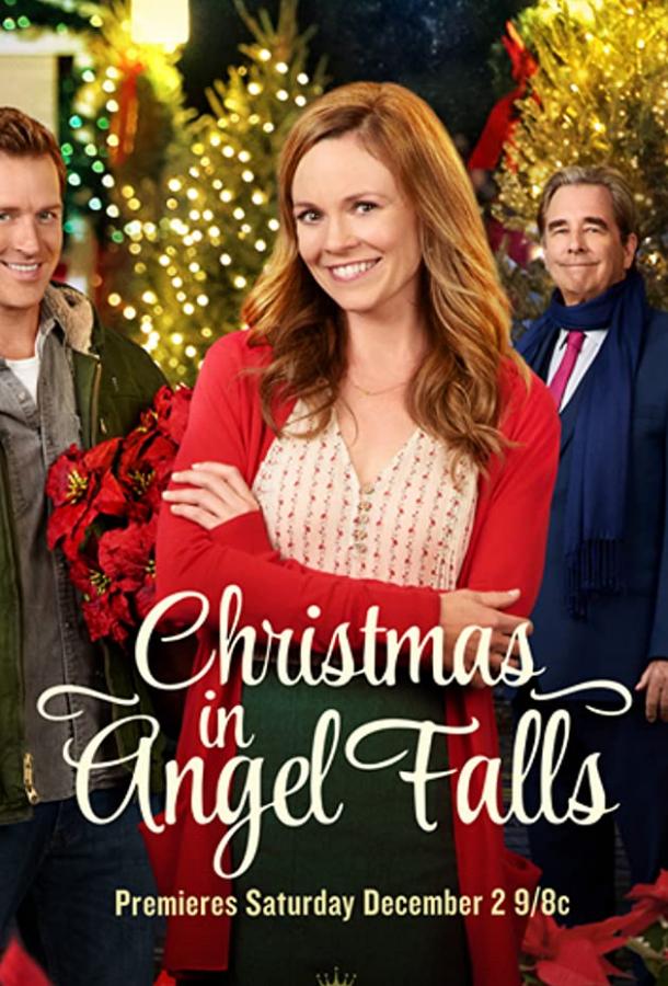 Christmas in Angel Falls (2017)