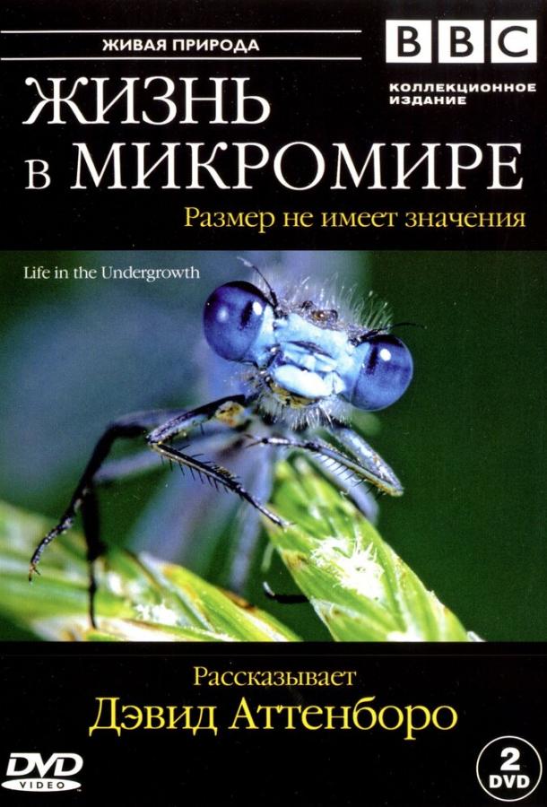 BBC: Жизнь в микромире (1 сезон)