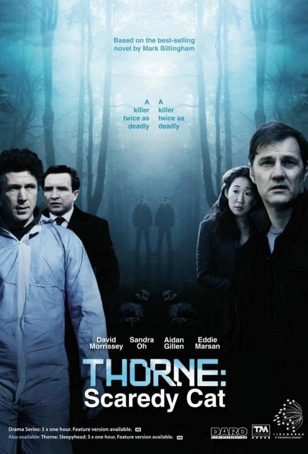 Торн: Пуганая ворона (1 сезон)