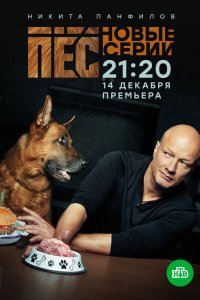 Пёс (1-7 сезон)