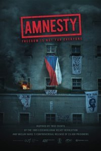 Амнистия (2019)