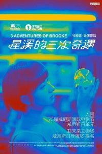 Три приключения Брук (2018)