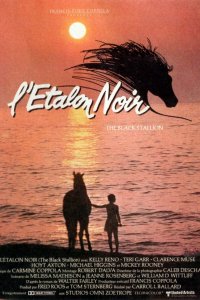 Черный скакун (1979)