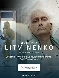 Литвиненко (1 сезон)