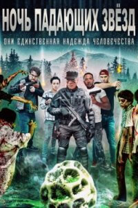 Ночь падающих звёзд (2021)